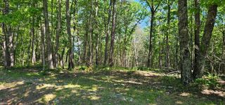 0 Bluffview Dr 558 &559, Dunlap, TN 37327