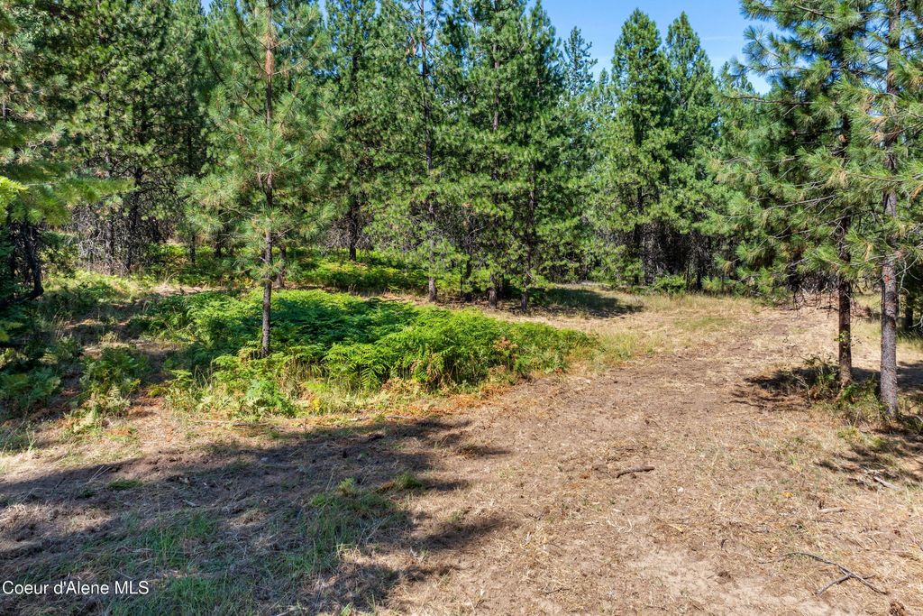 2300 S DUNLAP RD, Harrison, ID 83833 photo 13