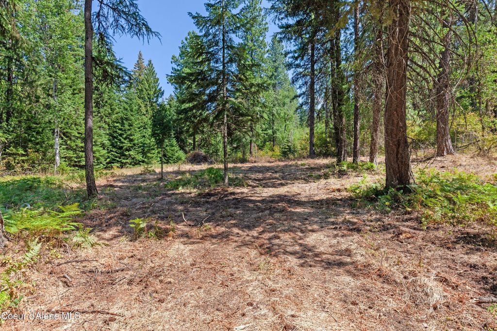 2300 S DUNLAP RD, Harrison, ID 83833 photo 14