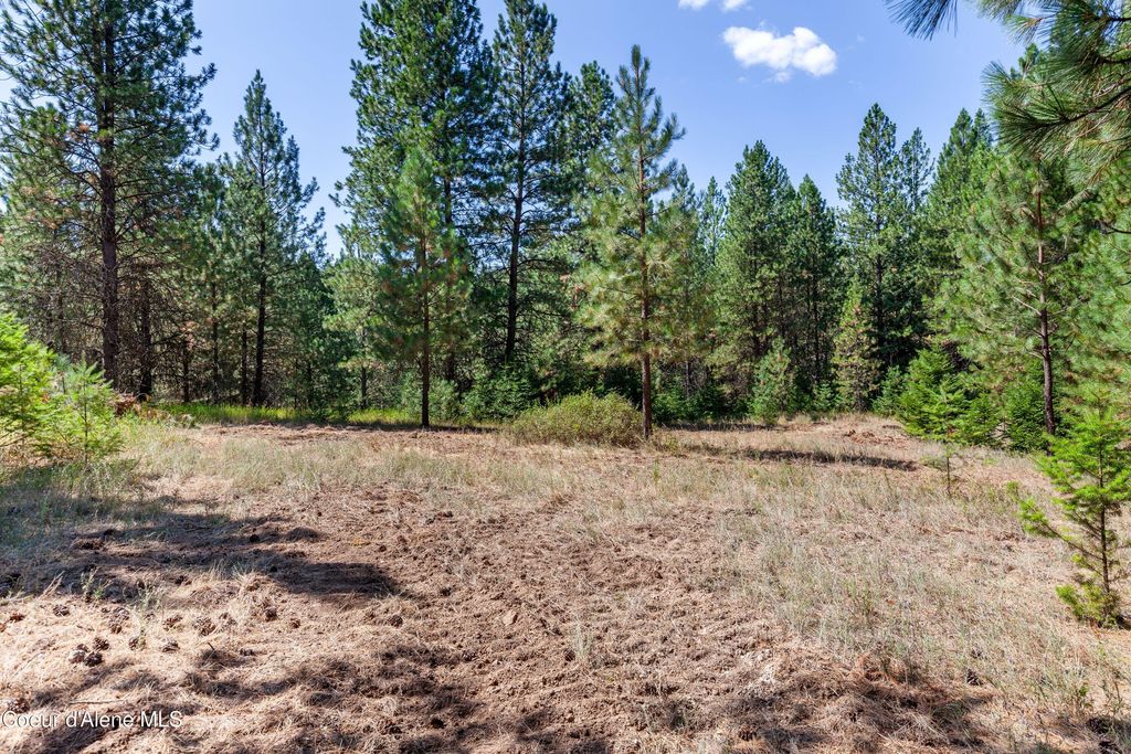 2300 S DUNLAP RD, Harrison, ID 83833 photo 16