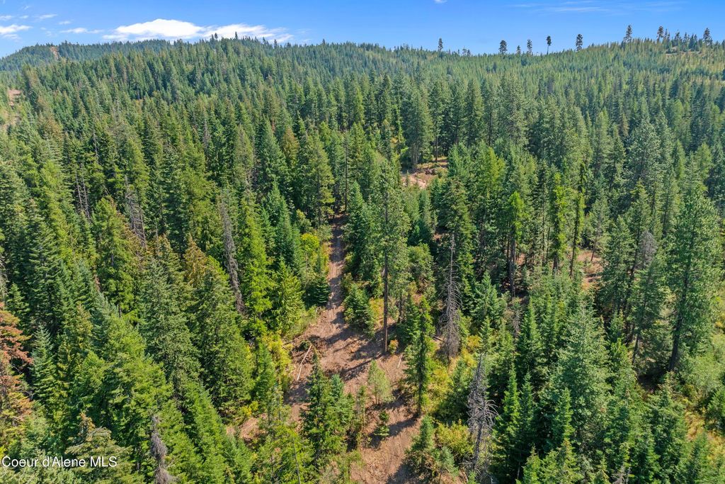 2300 S DUNLAP RD, Harrison, ID 83833 photo 3