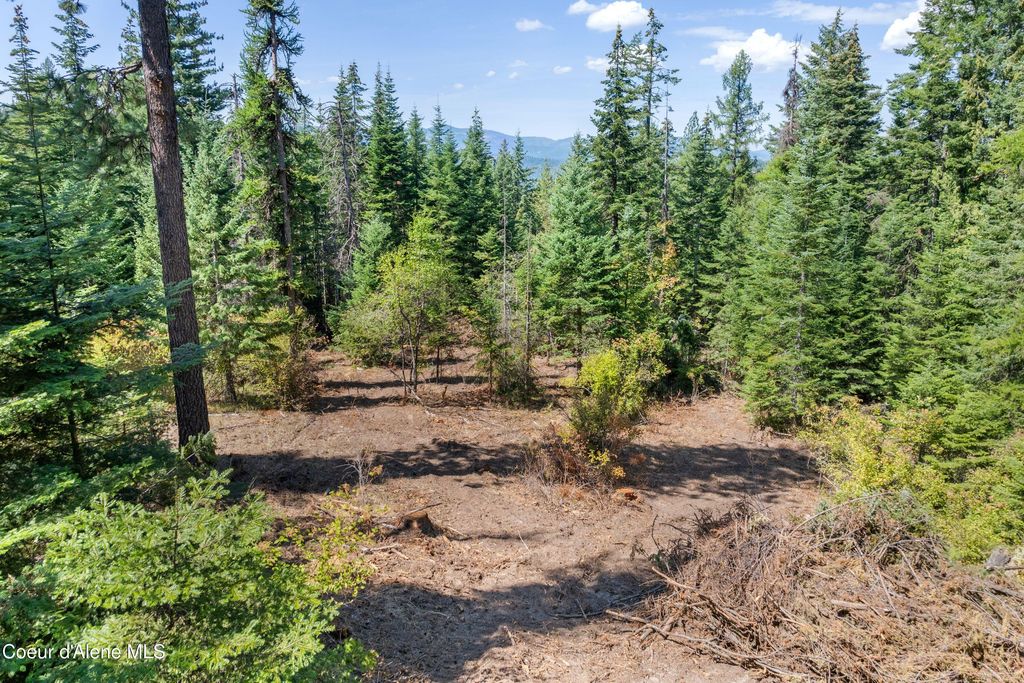 2300 S DUNLAP RD, Harrison, ID 83833 photo 8