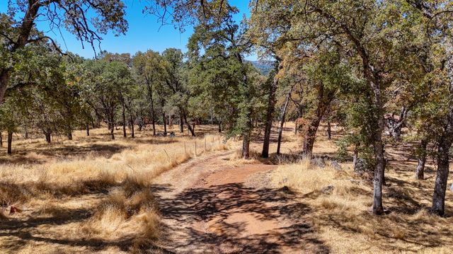 6646 Sourdough Trl, Placerville, CA 95667