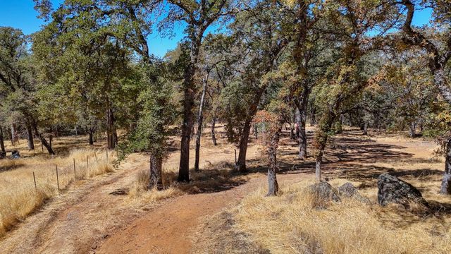 6646 Sourdough Trl, Placerville, CA 95667