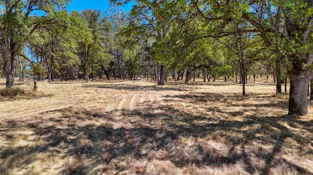 6646 Sourdough Trl, Placerville, CA 95667