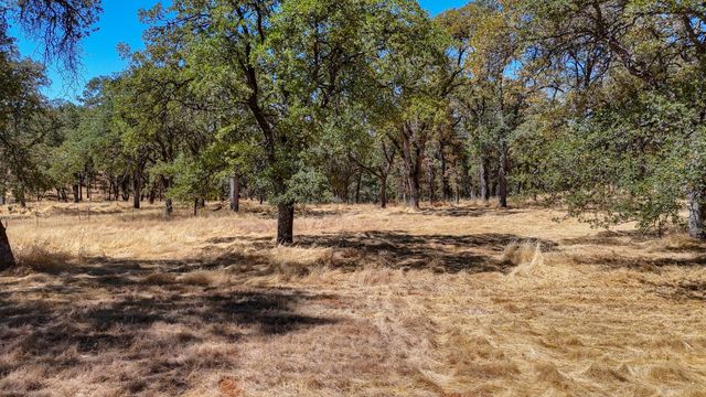 6646 Sourdough Trl, Placerville, CA 95667
