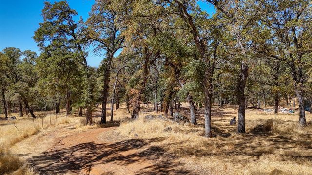 6646 Sourdough Trl, Placerville, CA 95667