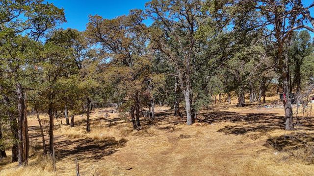 6646 Sourdough Trl, Placerville, CA 95667