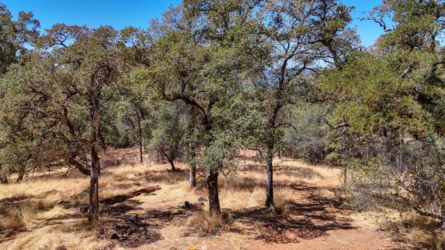 6646 Sourdough Trl, Placerville, CA 95667