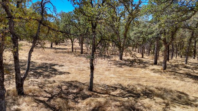 6646 Sourdough Trl, Placerville, CA 95667