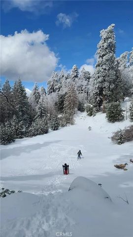 805 Berne Drive, Crestline, CA 92325