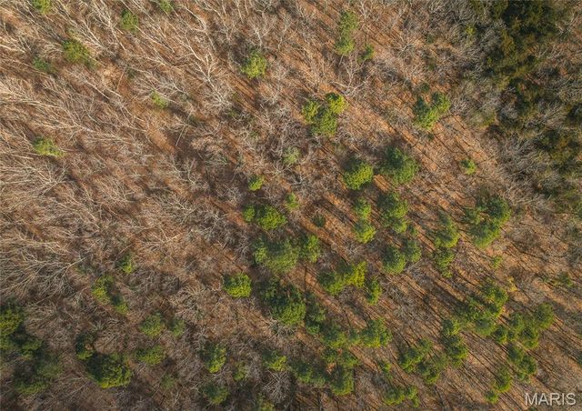 000 Mill Street, Potosi, MO 63664