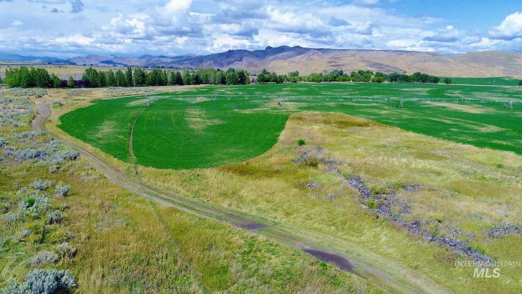 428 Cutoff Road, Picabo, ID 83313 photo 18