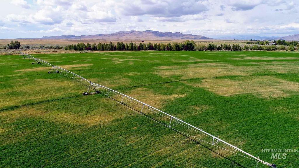 428 Cutoff Road, Picabo, ID 83313 photo 19