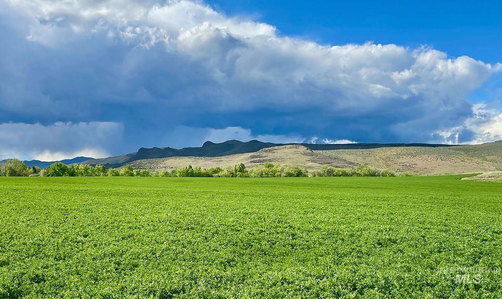 428 Cutoff Road, Picabo, ID 83313 photo 46