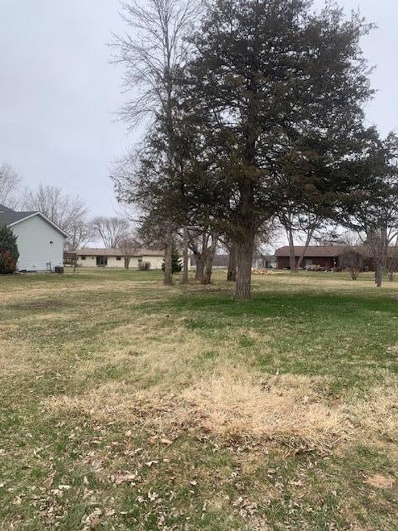 xxx Main St, Belle Plaine, MN 56011 — photo 2