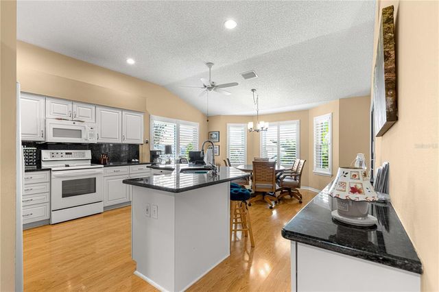 165 PALERMO PLACE, Lady Lake, FL 32159