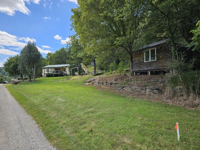 81 Carver Hollow Rd, Pleasant Shade, TN 37145