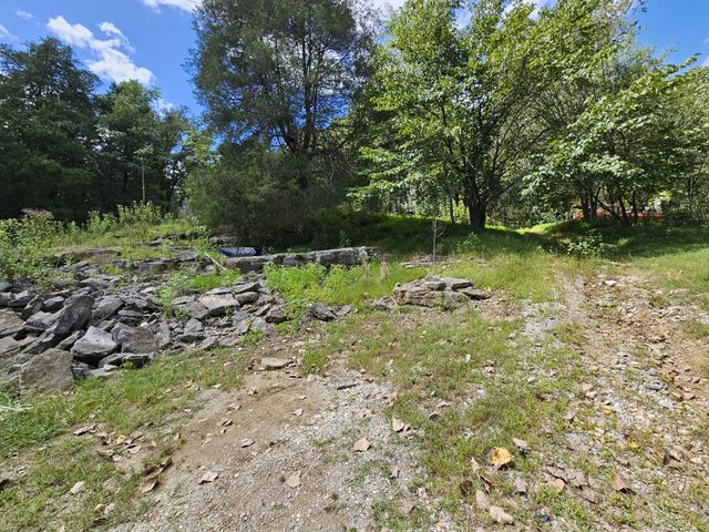 81 Carver Hollow Rd, Pleasant Shade, TN 37145