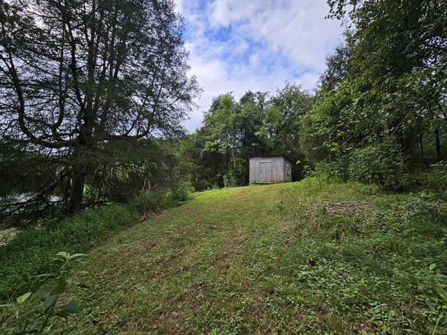 81 Carver Hollow Rd, Pleasant Shade, TN 37145