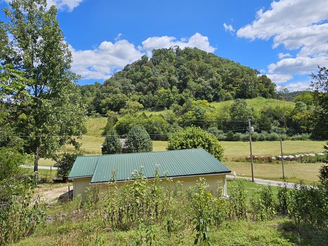 81 Carver Hollow Rd, Pleasant Shade, TN 37145