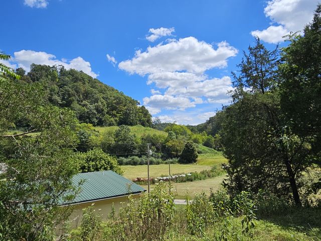 81 Carver Hollow Rd, Pleasant Shade, TN 37145