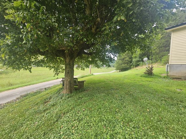 81 Carver Hollow Rd, Pleasant Shade, TN 37145