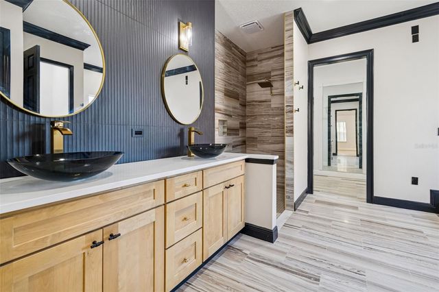 18909 APIAN WAY, Lutz, FL 33558