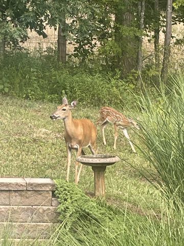 6909 Guffee Ter, College Grove, TN 37046