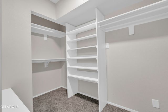 7125 BANANA TREE Lane, El Paso, TX 79915