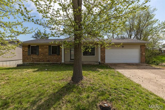 816 Ruth Avenue, Festus, MO 63028