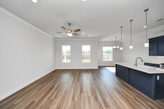11985 Barbaro Drive, Montgomery, TX 77318