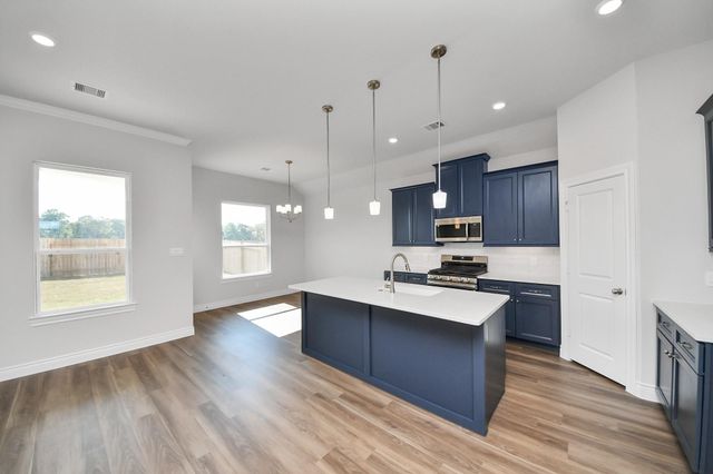 11985 Barbaro Drive, Montgomery, TX 77318