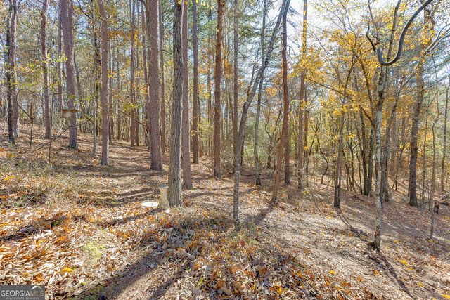 6360 Nix Road, Dawsonville, GA 30534