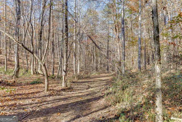 6360 Nix Road, Dawsonville, GA 30534