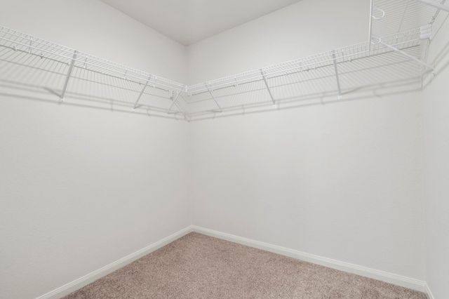 15231 Central Lakes Drive, Humble, TX 77396