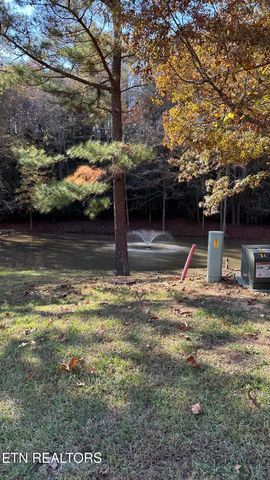 18 Cove Springs Drive, Dandridge, TN 37725