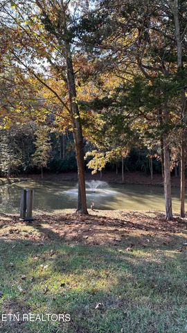 18 Cove Springs Drive, Dandridge, TN 37725