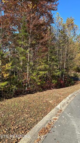 18 Cove Springs Drive, Dandridge, TN 37725