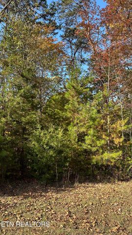 18 Cove Springs Drive, Dandridge, TN 37725
