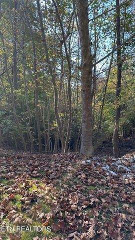 18 Cove Springs Drive, Dandridge, TN 37725