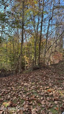18 Cove Springs Drive, Dandridge, TN 37725