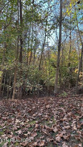 18 Cove Springs Drive, Dandridge, TN 37725