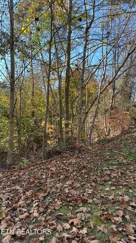 18 Cove Springs Drive, Dandridge, TN 37725