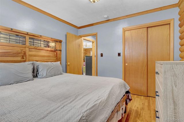 14601 S Elk Creek Road, Pine, CO 80470