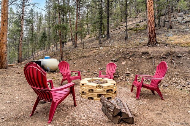 14601 S Elk Creek Road, Pine, CO 80470