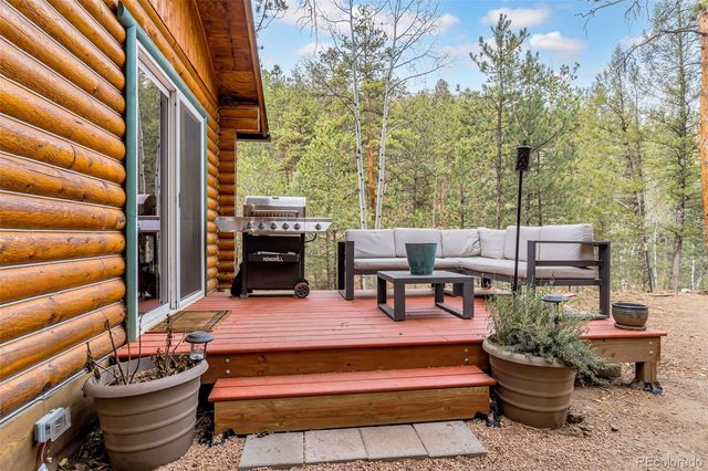 14601 S Elk Creek Road, Pine, CO 80470