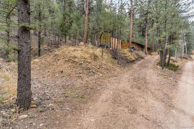 14601 S Elk Creek Road, Pine, CO 80470