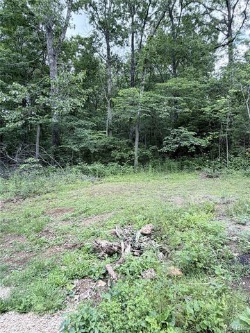 9934 Thurman Oaks Road, Valles Mines, MO 63087