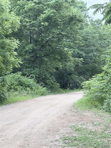 9934 Thurman Oaks Road, Valles Mines, MO 63087